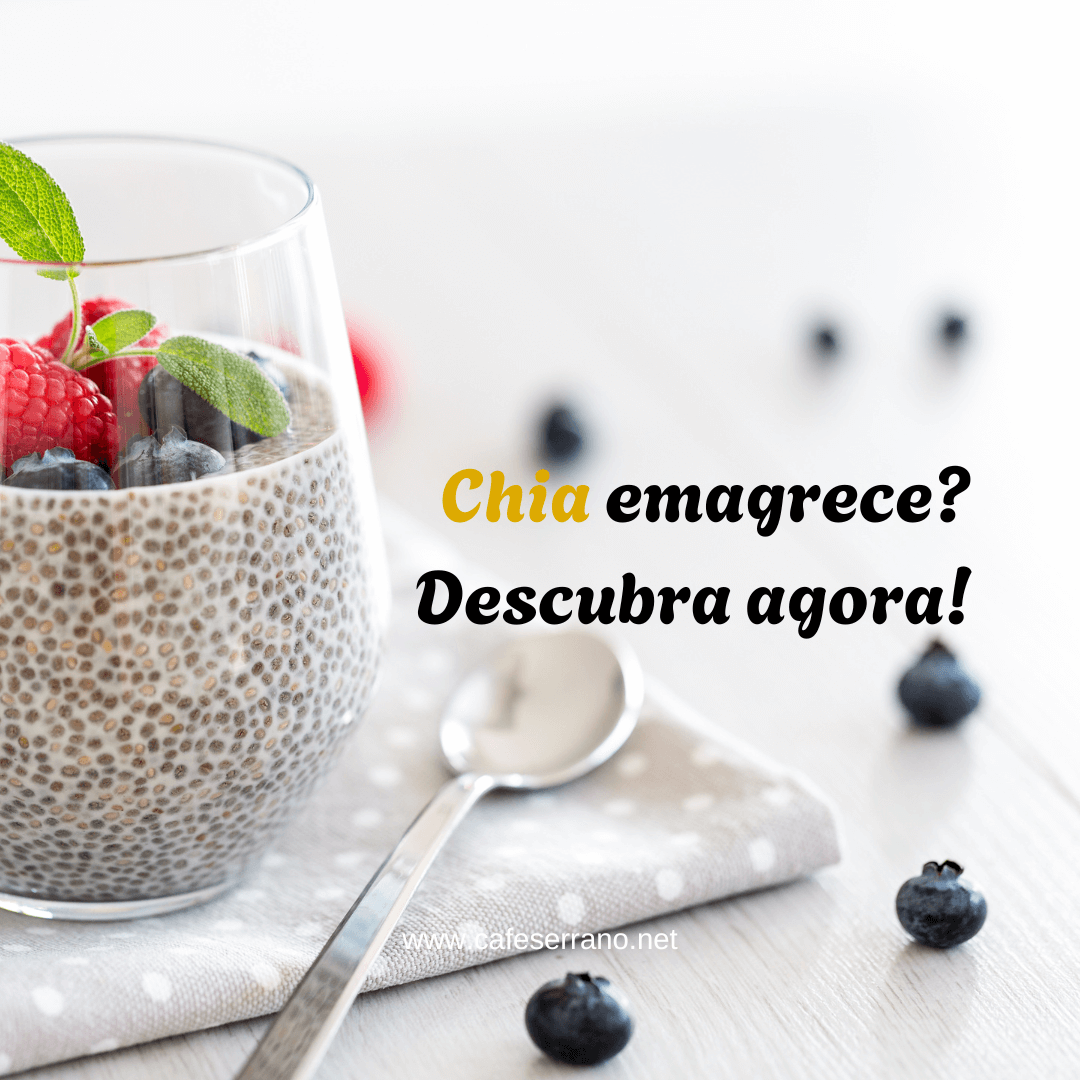 Chia emagrece? Descubra agora!