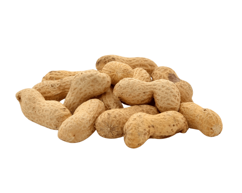 Amendoim Torrado a Lenha 500g | Sabor Defumado e Crocante | Cafés Serrano