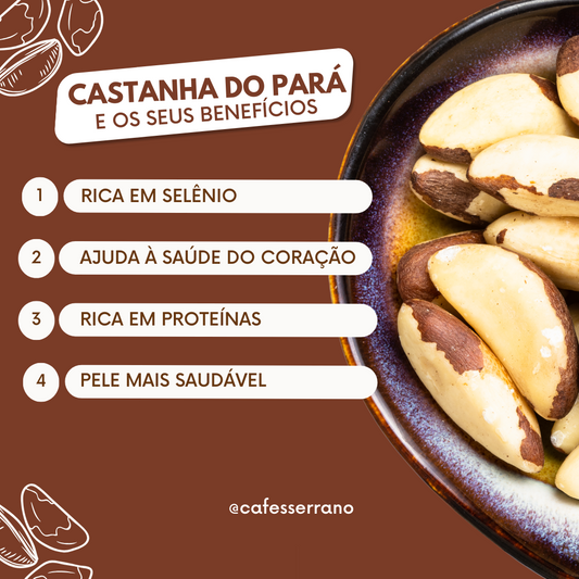 Benefícios da Castanha do Pará