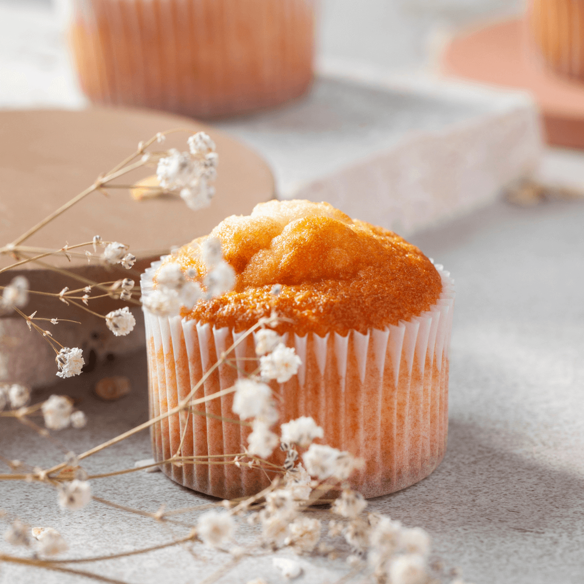 Preparado Muffin/ Bolo de Arroz Cafés Serrano